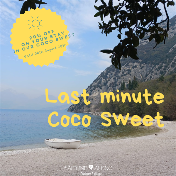 Last Minute Coco Sweet